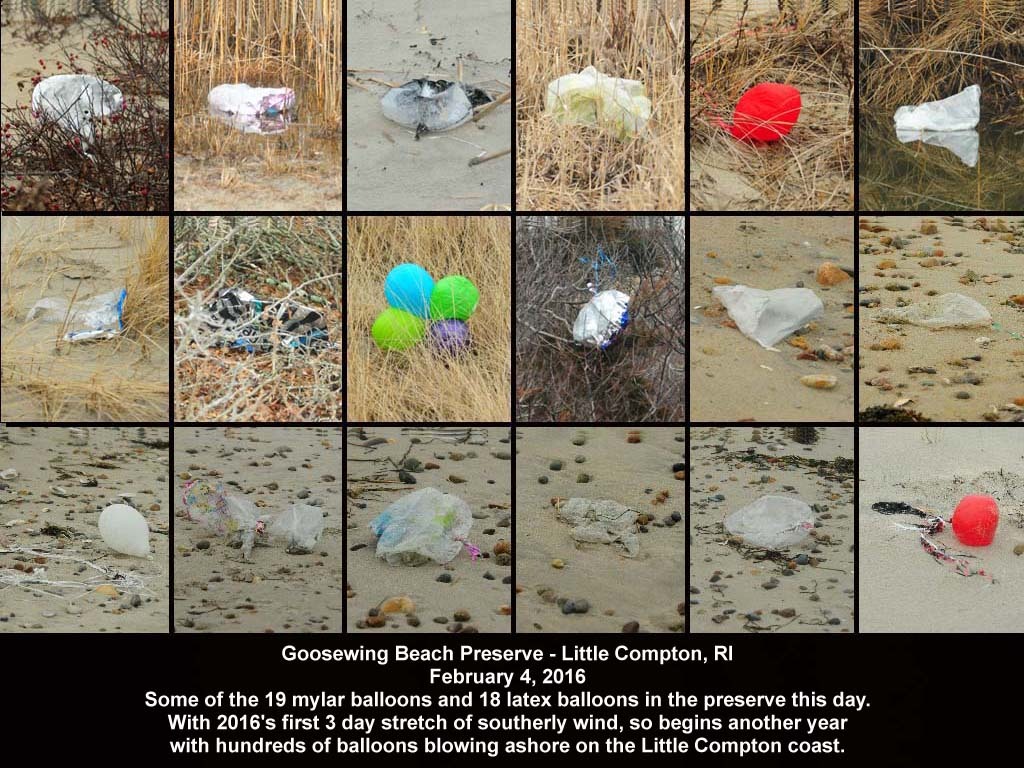 balloons-2016-AA-Goosewing-Beach