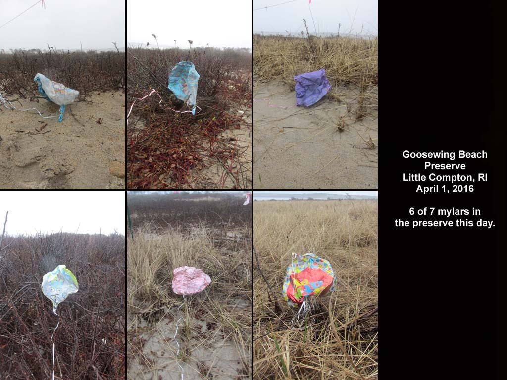 balloons-2016-AH-Goosewing-Beach