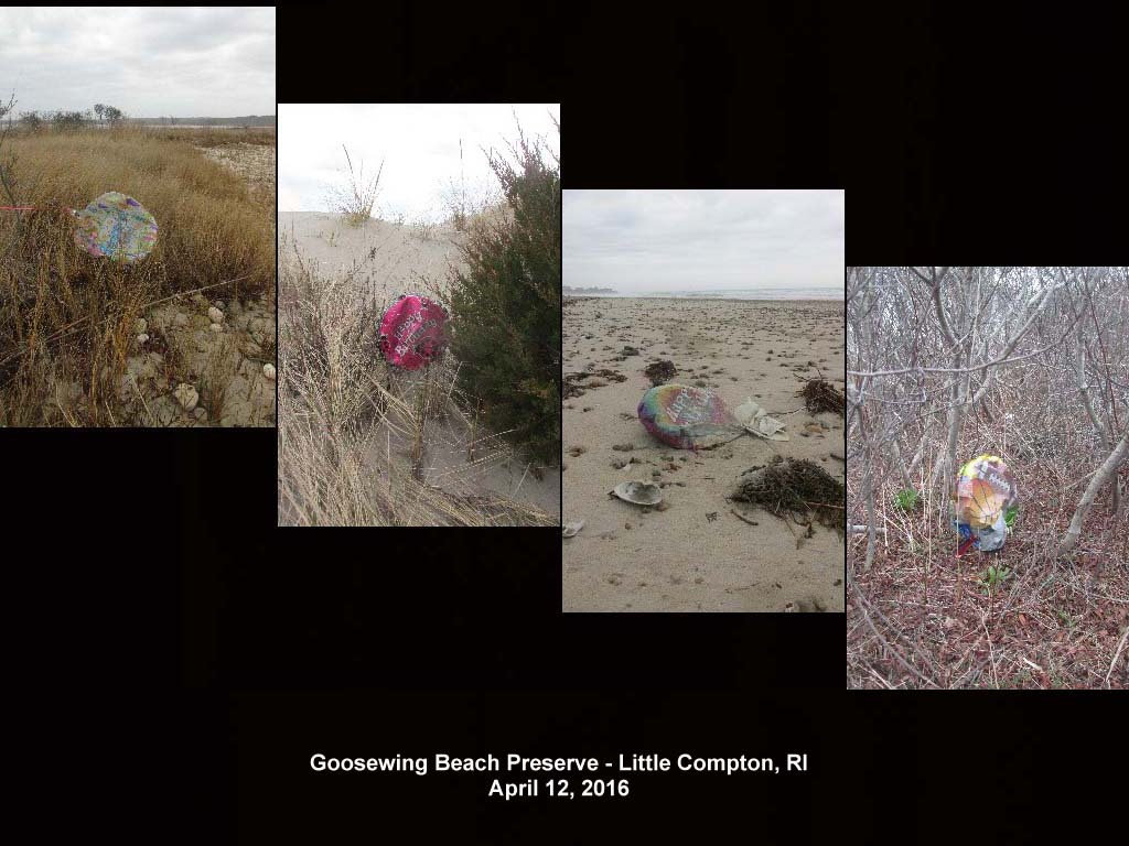 balloons-2016-AJ-Goosewing-Beach