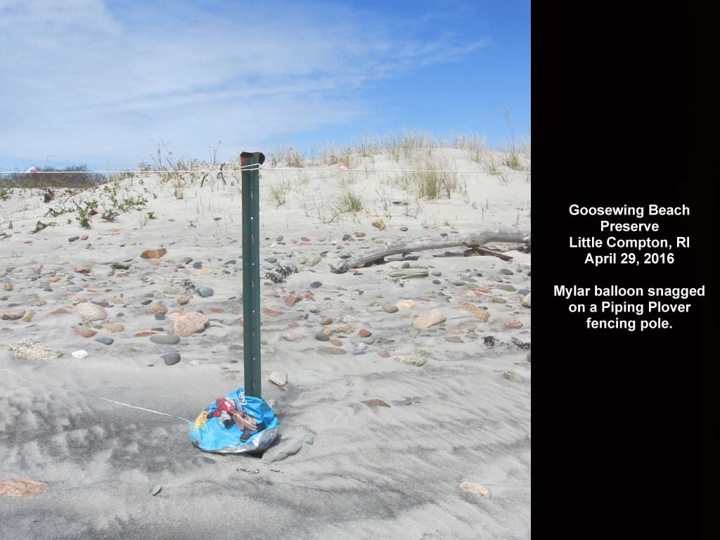 balloons-2016-AK-Goosewing-Beach