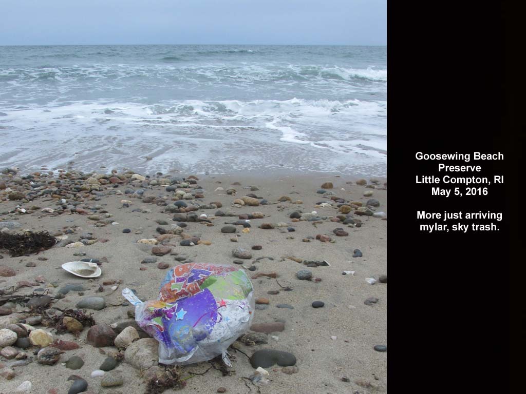 balloons-2016-AL-Goosewing-Beach
