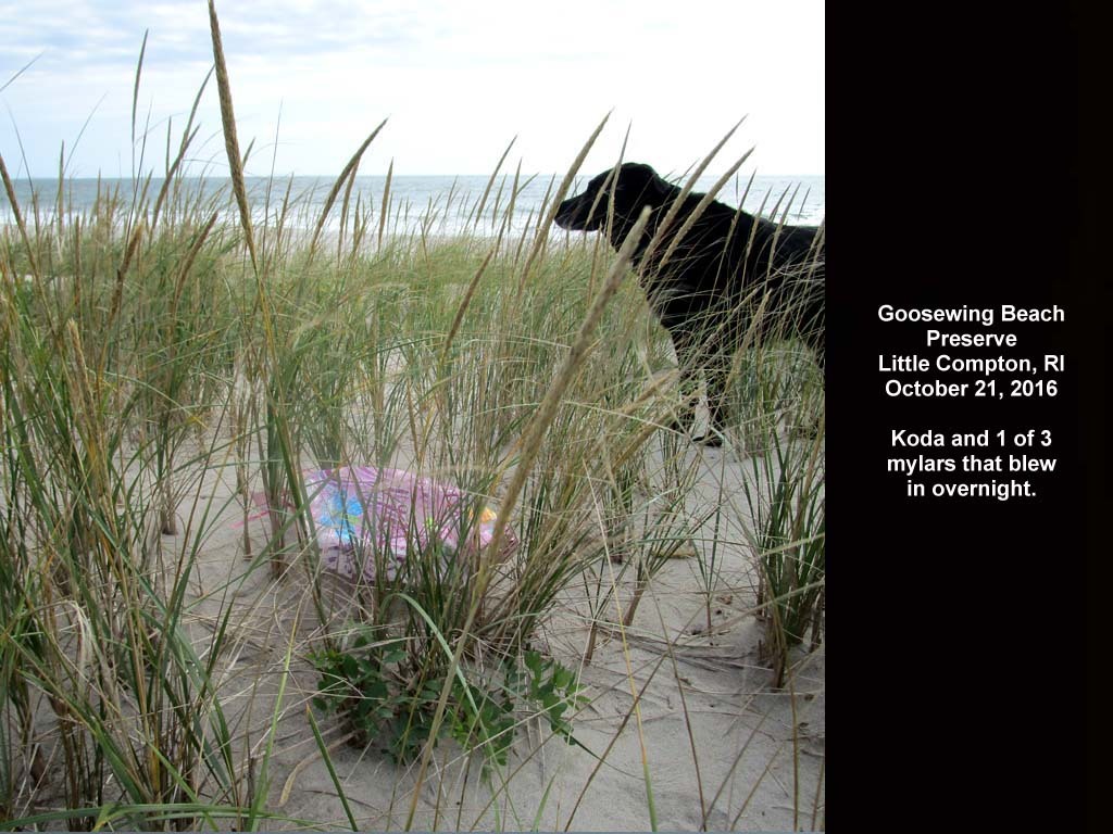 balloons-2016-AR-Goosewing-Beach