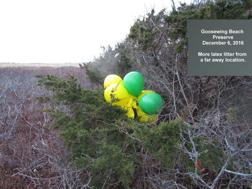 balloons-2016-AS-Goosewing-Beach