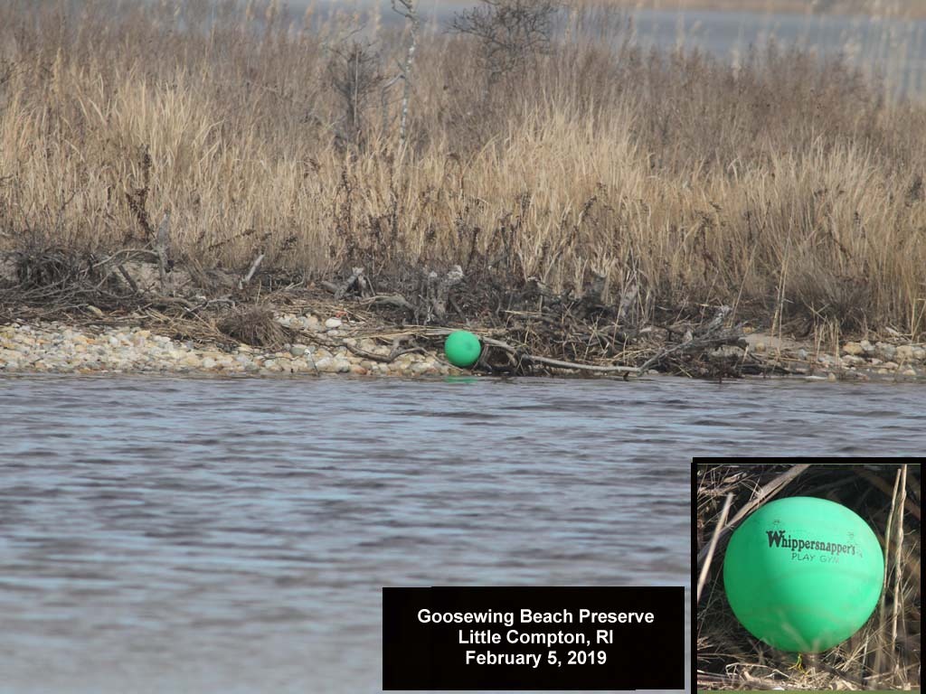 balloons-2019-AB-Goosewing-Beach