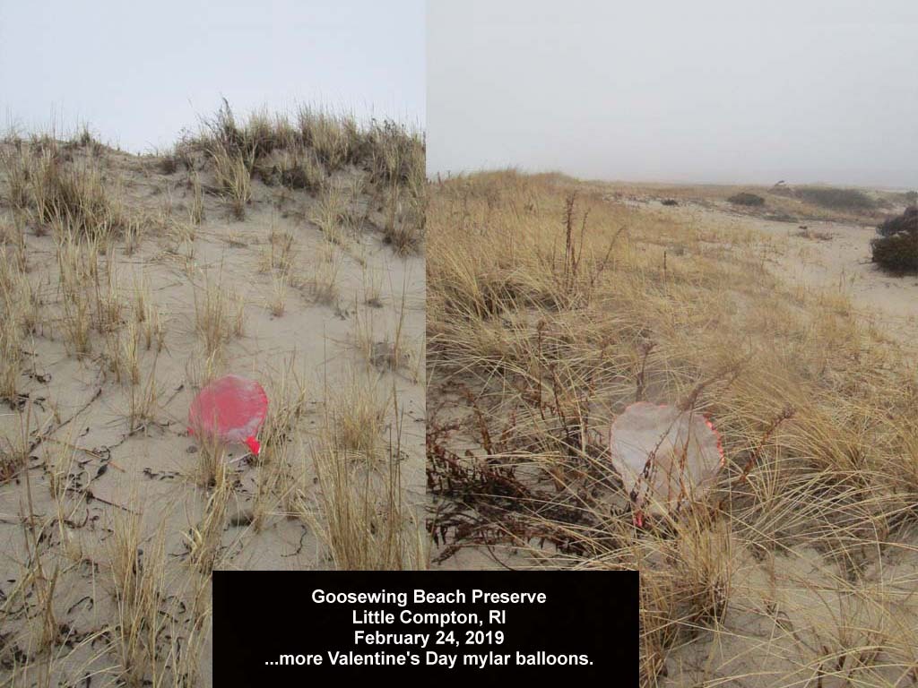 balloons-2019-AD-Goosewing-Beach
