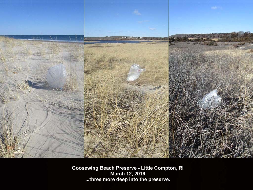 balloons-2019-AF-Goosewing-Beach