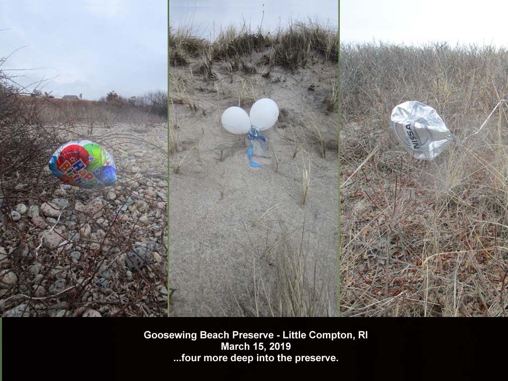 balloons-2019-AG-Goosewing-Beach