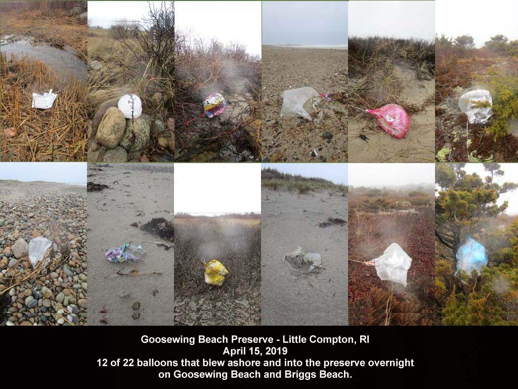 balloons-2019-AK-Goosewing-Beach