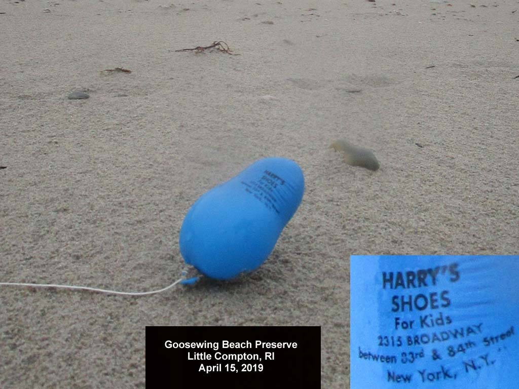 balloons-2019-AL-Goosewing-Beach
