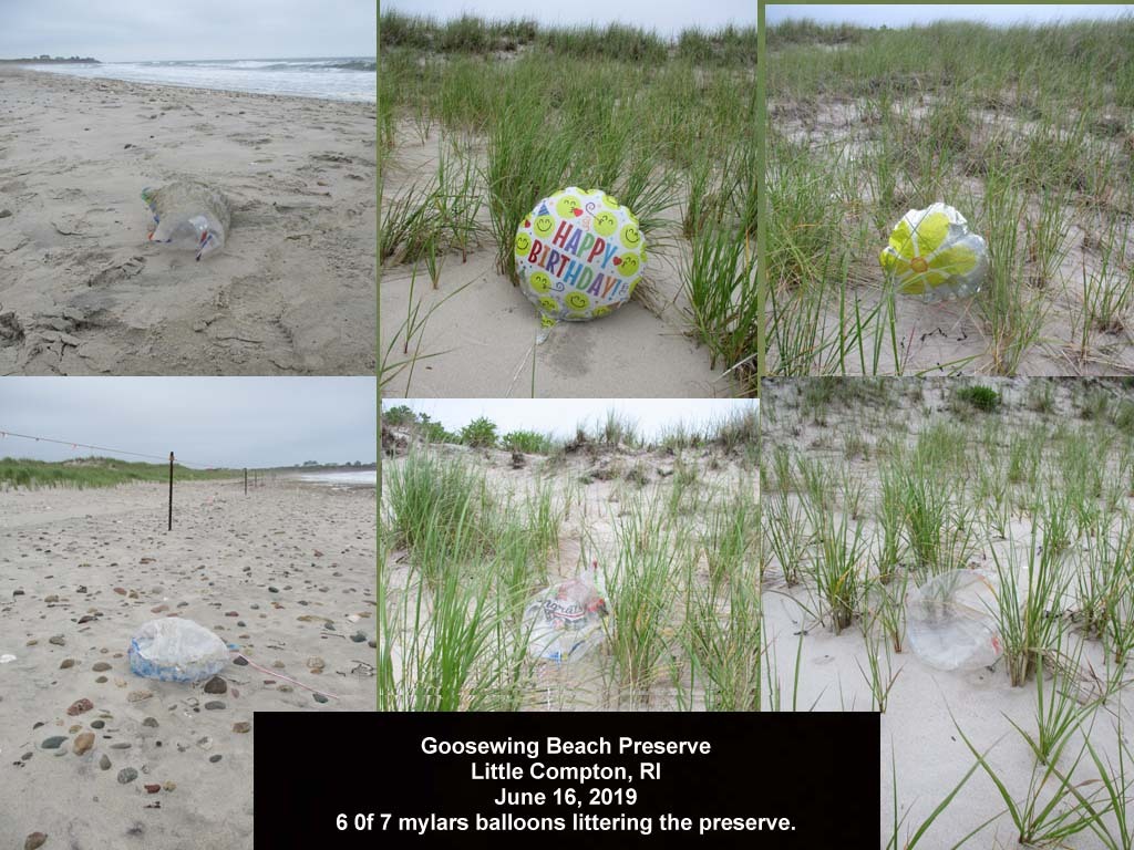 balloons-2019-AM-Goosewing-Beach