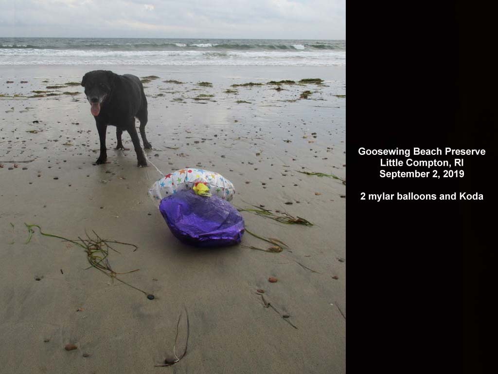 balloons-2019-AN-Goosewing-Beach