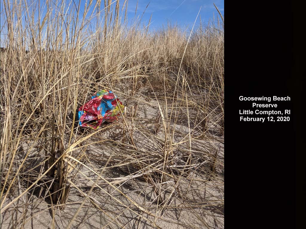 balloons-2020-AA-Goosewing-Beach