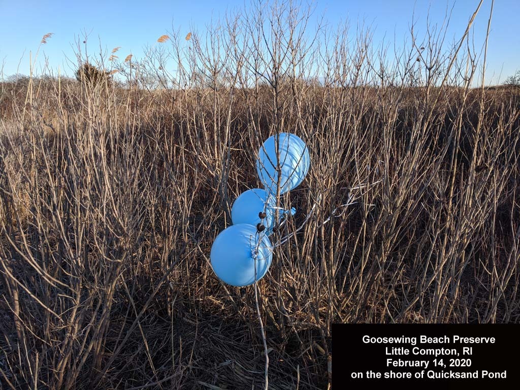 balloons-2020-AB-Goosewing-Beach
