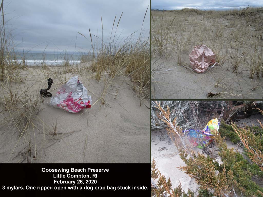 balloons-2020-AC-Goosewing-Beach