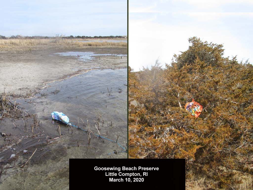 balloons-2020-AD-Goosewing-Beach