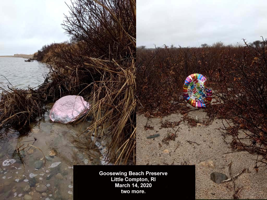 balloons-2020-AG-Goosewing-Beach