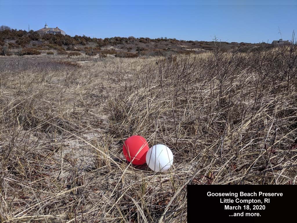 balloons-2020-AH-Goosewing-Beach