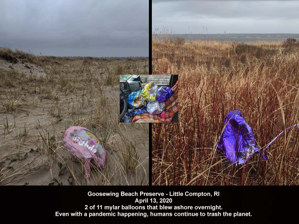 balloons-2020-AJ-Goosewing-Beach