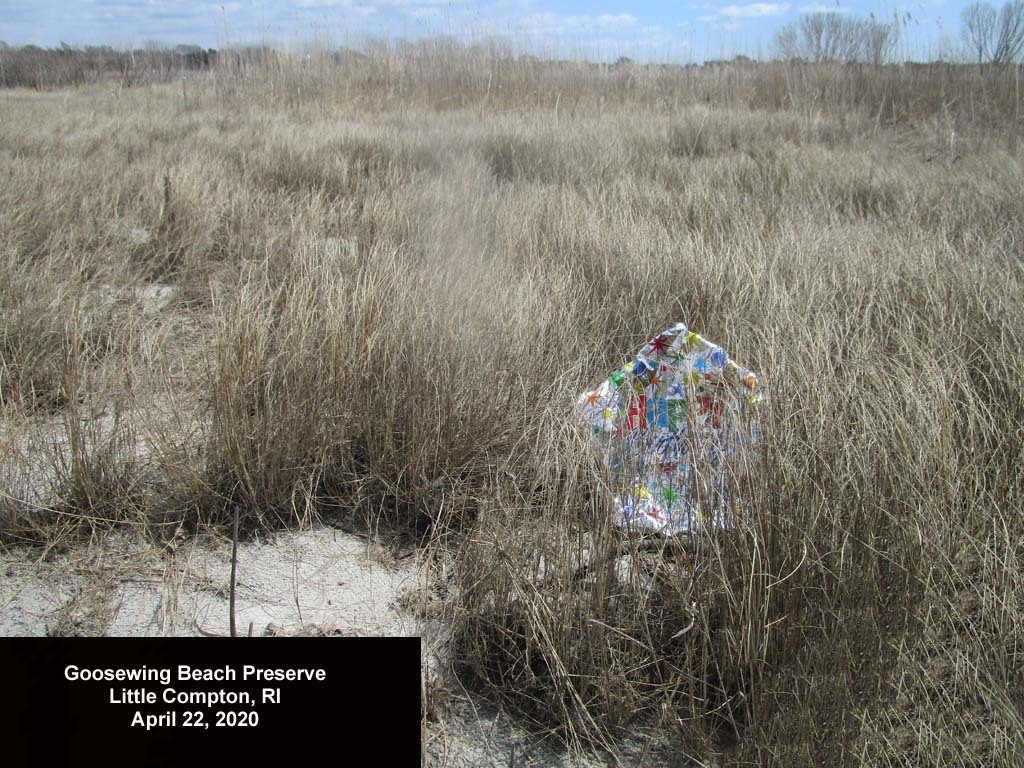balloons-2020-AK-Goosewing-Beach-b
