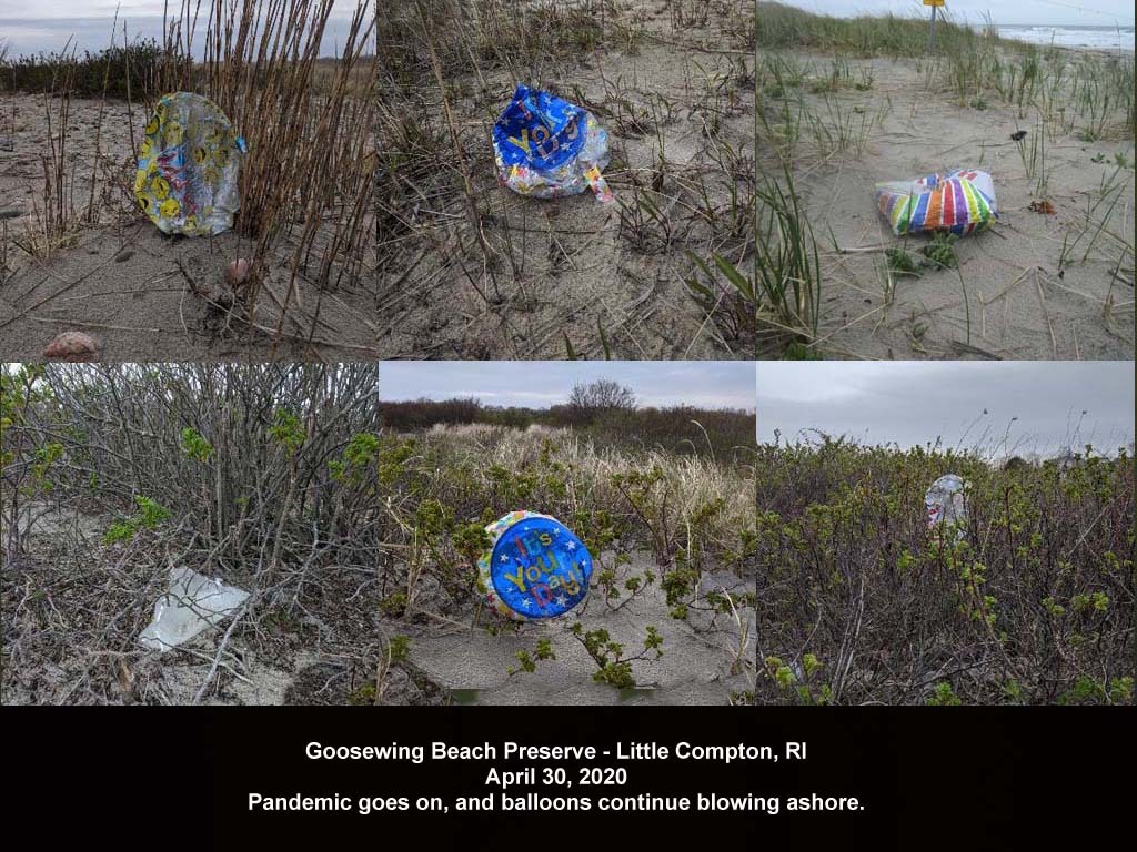 balloons-2020-AL-Goosewing-Beach