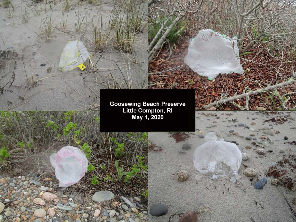 balloons-2020-AM-Goosewing-Beach