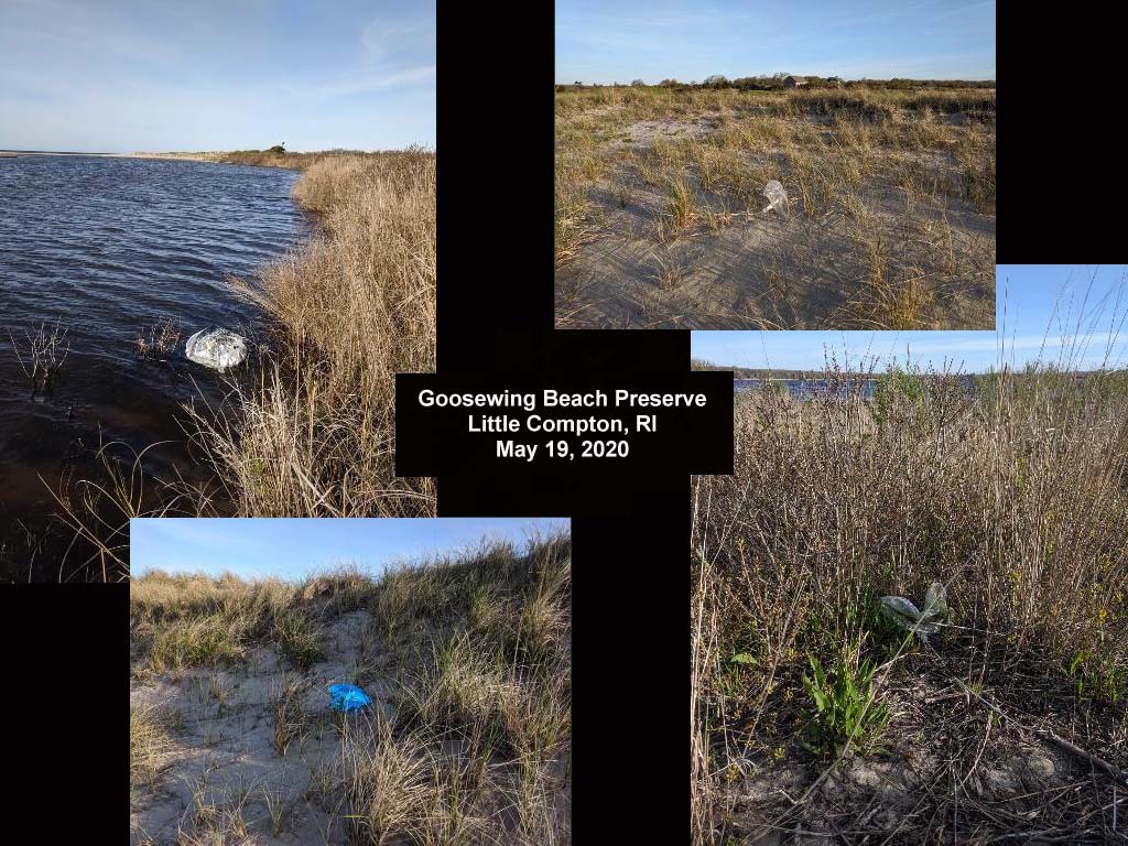 balloons-2020-AN-Goosewing-Beach