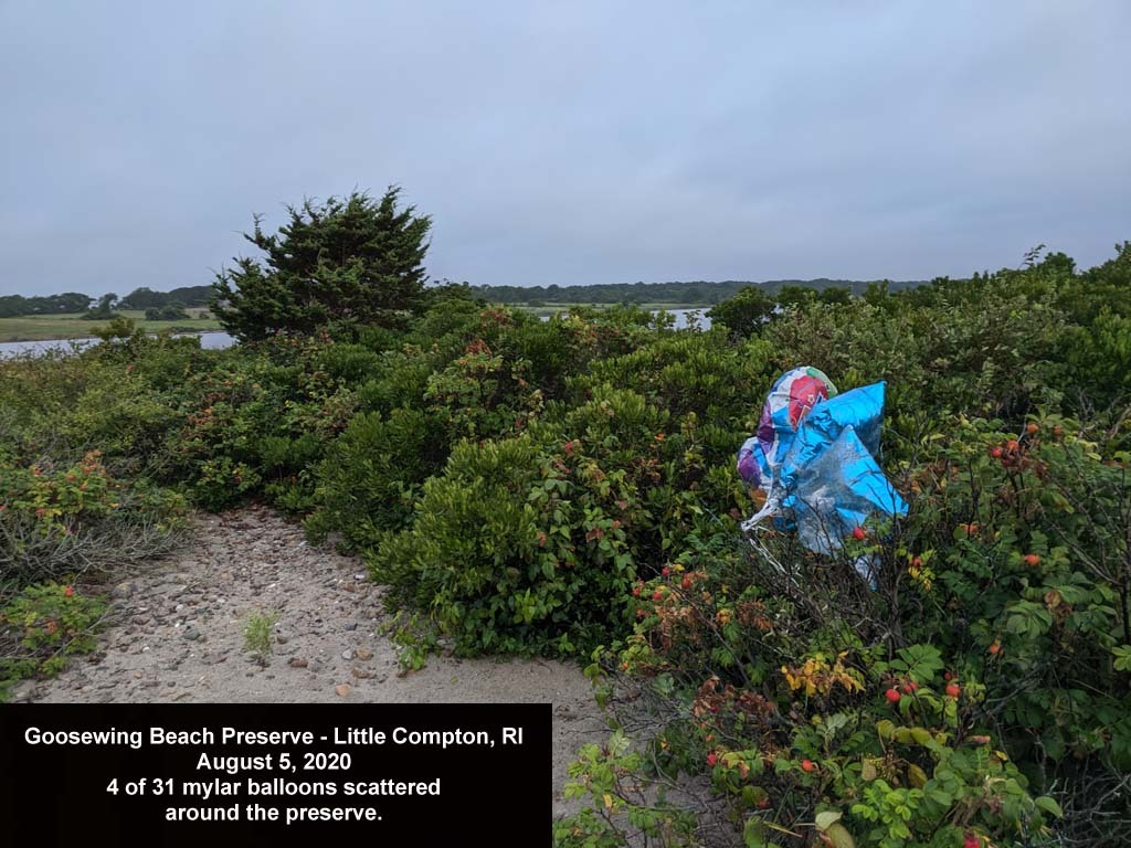 balloons-2020-AO-Goosewing-Beach