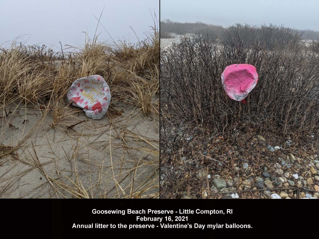balloons-2021-AA-Goosewing-Beach