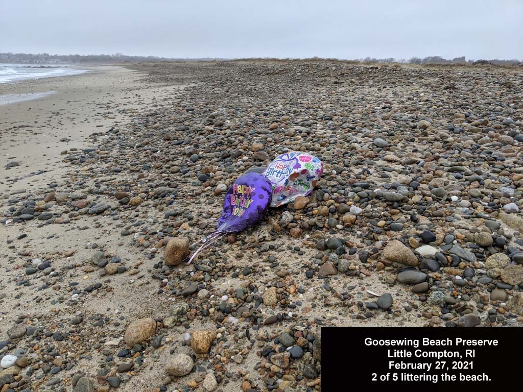 balloons-2021-AB-Goosewing-Beach