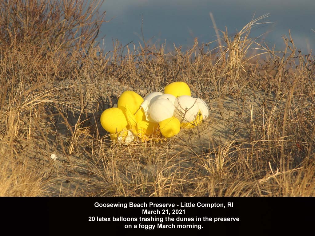 balloons-2021-AC-Goosewing-Beach