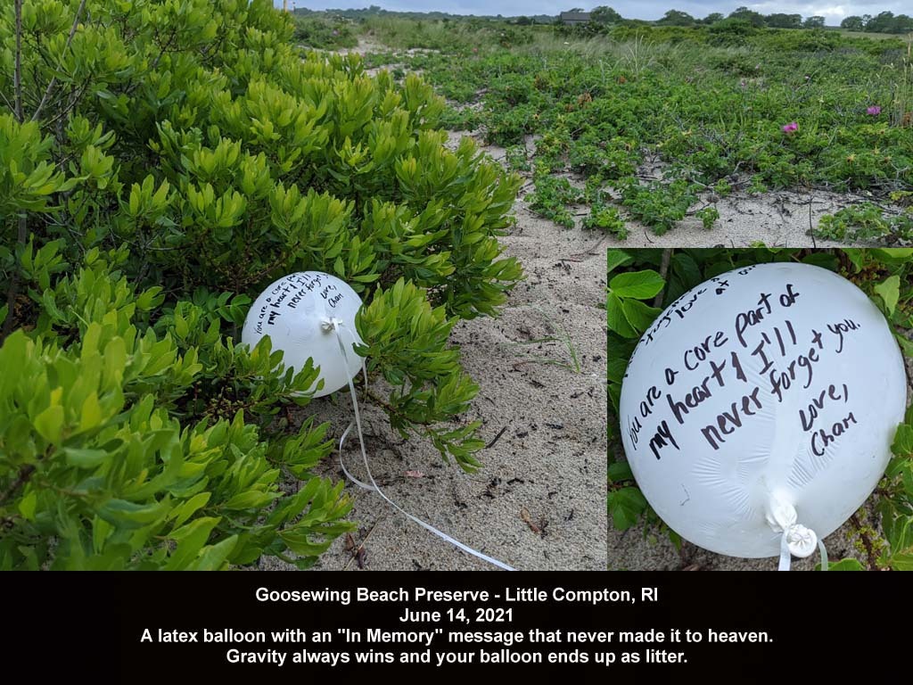 balloons-2021-AE-Goosewing-Beach