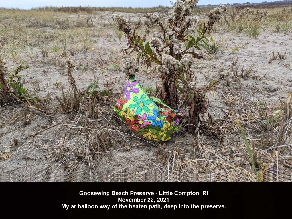 balloons-2021-AG-Goosewing-Beach