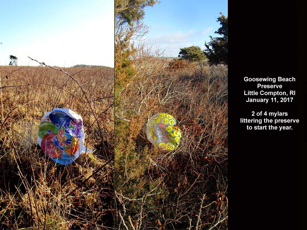 balloons-2017-AA-Goosewing-Beach
