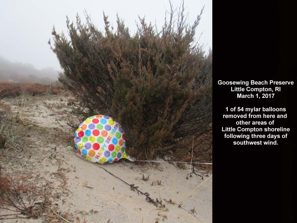 balloons-2017-AD-Goosewing-Beach