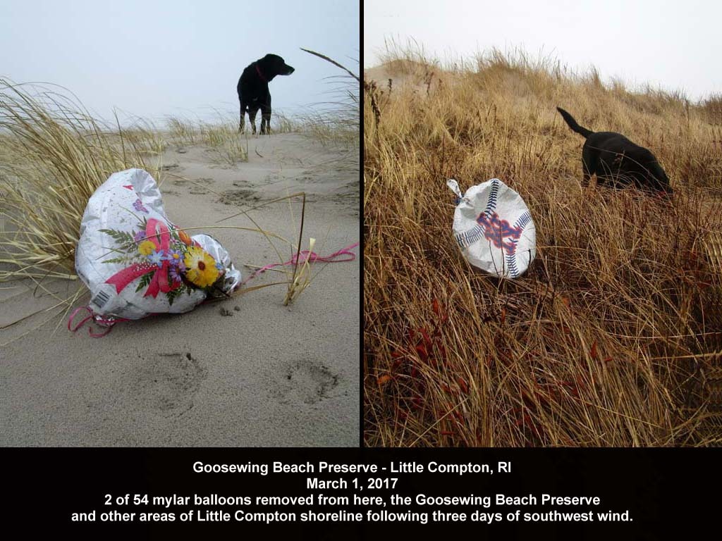 balloons-2017-AE-Goosewing-Beach