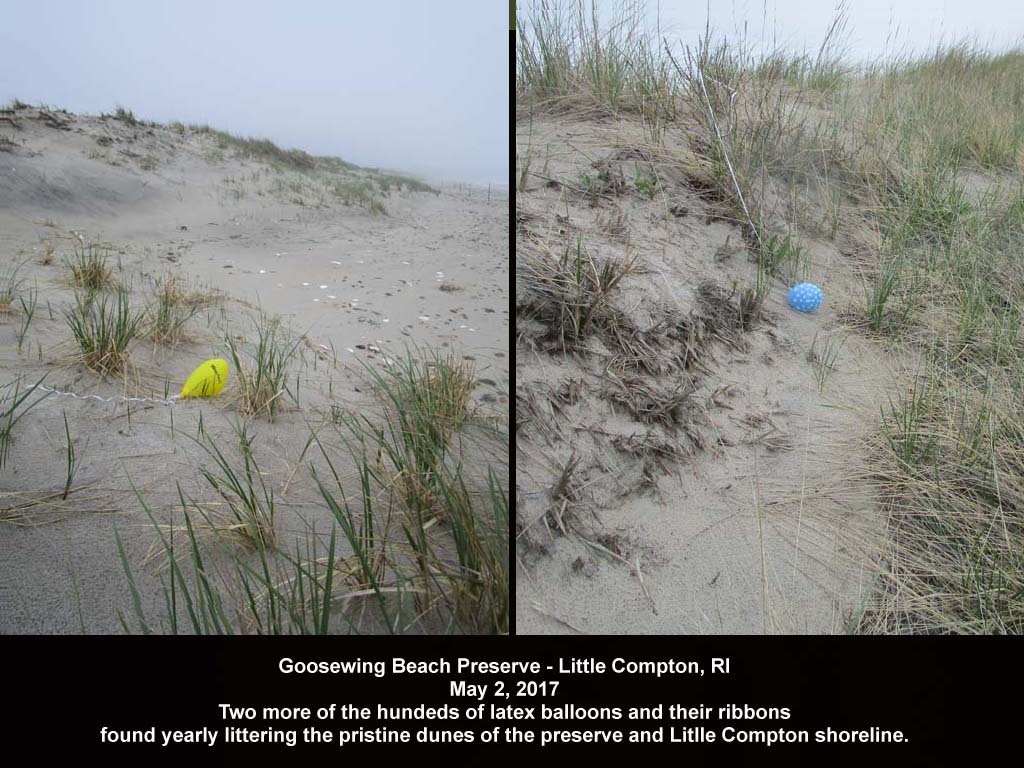 balloons-2017-AG-Goosewing-Beach