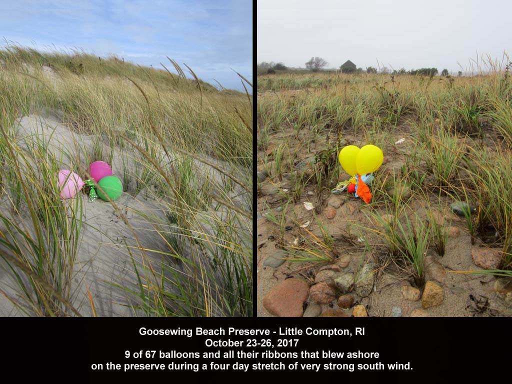 balloons-2017-AO-Goosewing-Beach
