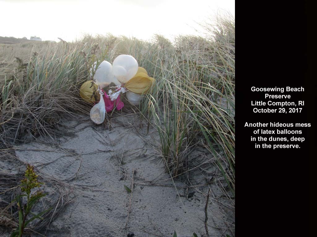 balloons-2017-AP-Goosewing-Beach