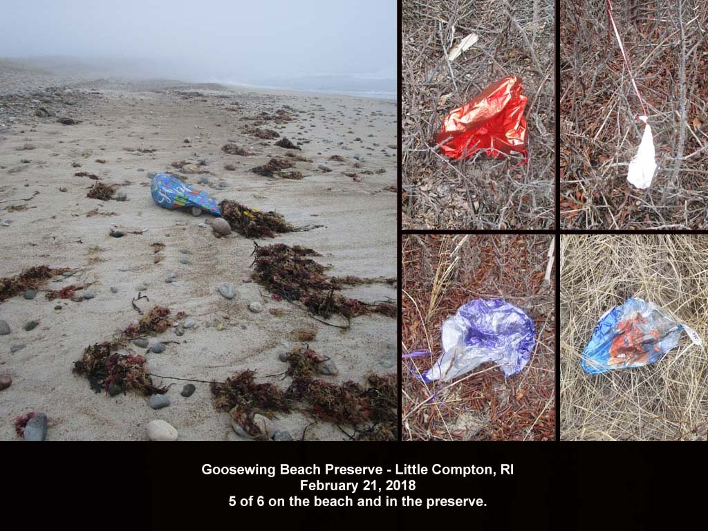 balloons-2018-AA-Goosewing-Beach