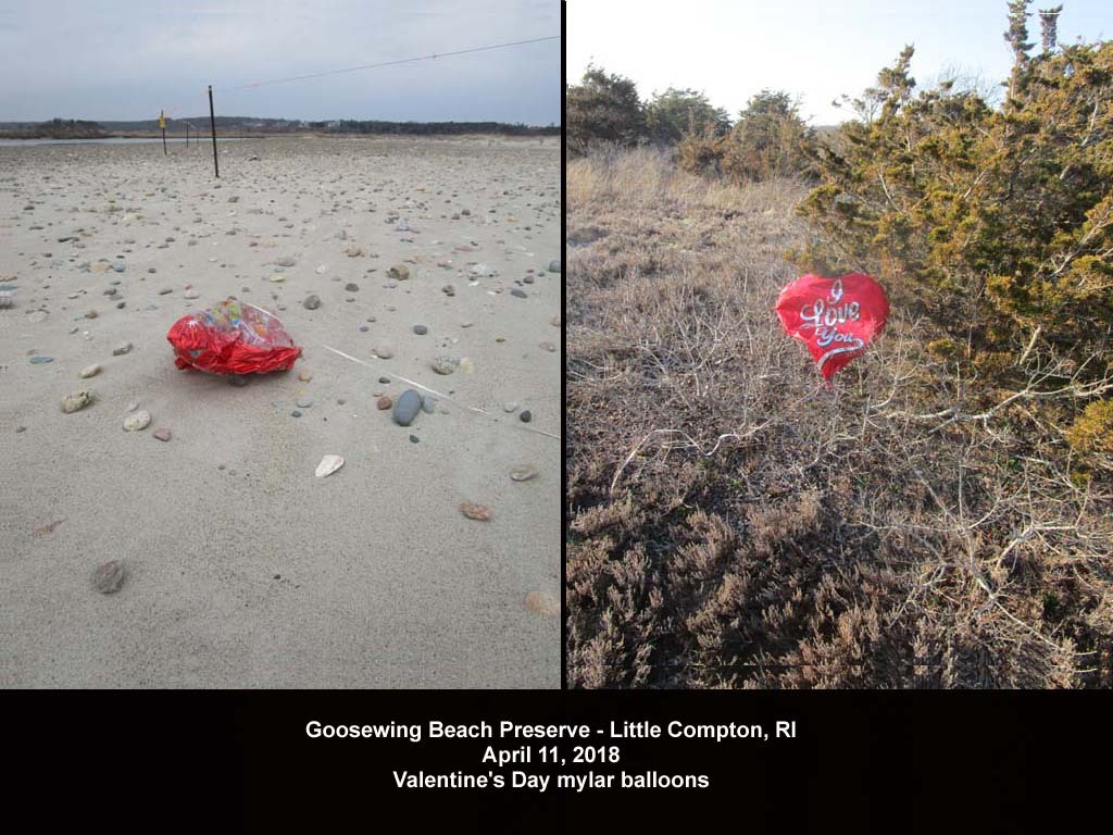 balloons-2018-AC-Goosewing-Beach