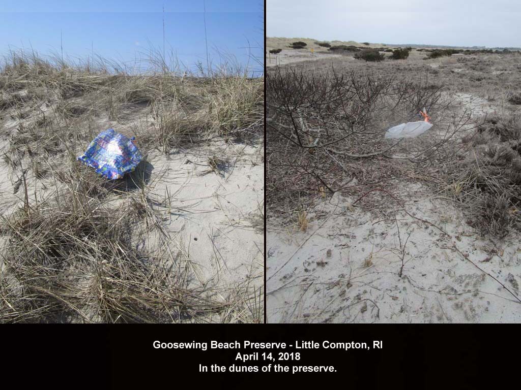 balloons-2018-AF-Goosewing-Beach