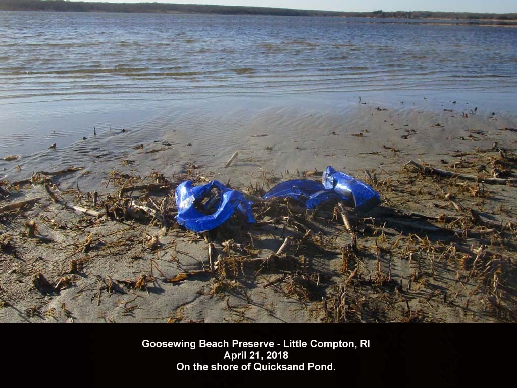 balloons-2018-AG-Goosewing-Beach