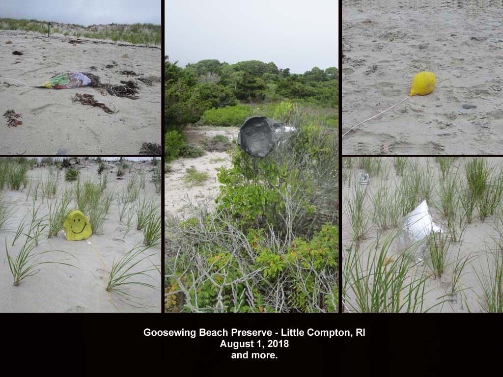 balloons-2018-AQ-Goosewing-Beach