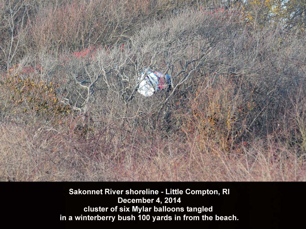 balloons-2014-AB_Sakonnet-River