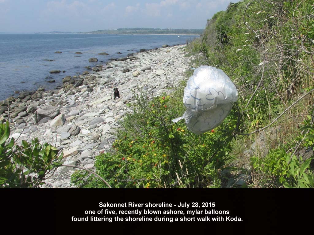 balloons-2015-AJ_Sakonnet-River