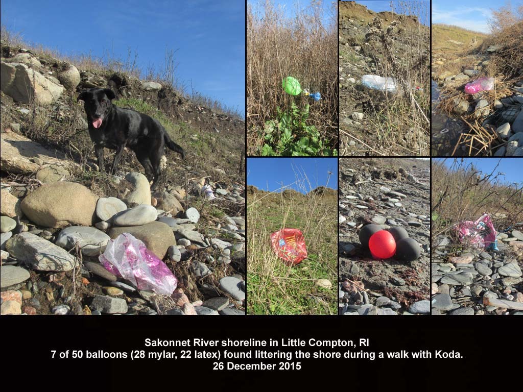 balloons-2015-AN_Sakonnet-River