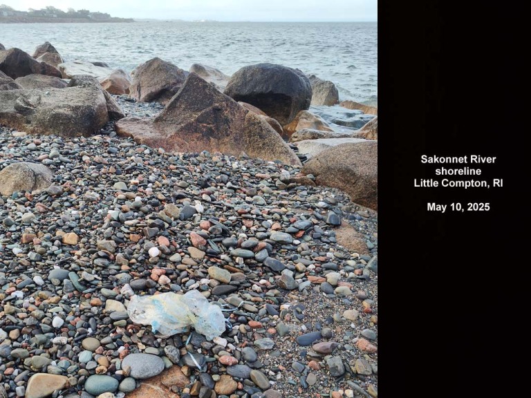 balloons-2025-AE-Sakonnet-River