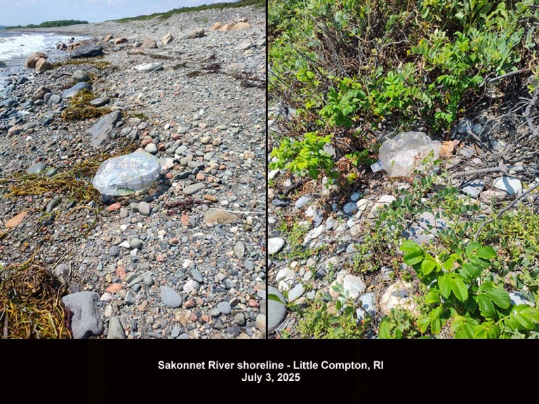 balloons-2025-AQ-Sakonnet-River