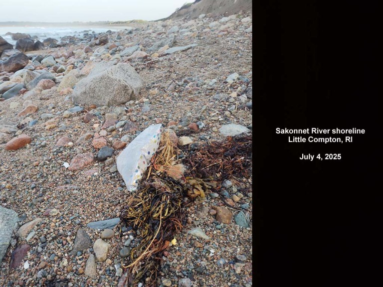 balloons-2025-AR-Sakonnet-River