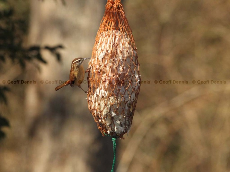 FEEDR-Suet-Bag-AA